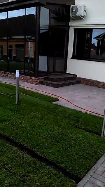 Рулонный газон в Тюмени смотреть онлайн