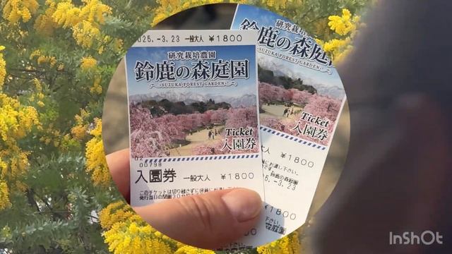 От пожаров до вселенской красоты. Япония. Какая есть. смотреть онлайн