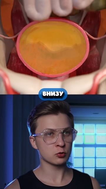 Никогда Не Терпи Если Хочешь в Туалет смотреть онлайн