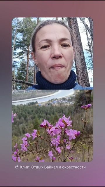 Багульник красивый и съедобный?!