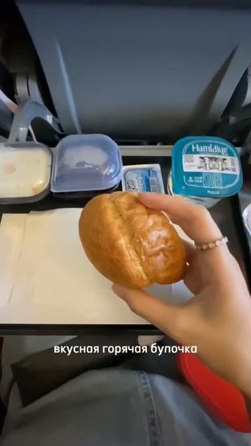 ПИТАНИЕ НА БОРТУ TURKISH AIRLINES на рейсе из Москвы в Анталью смотреть онлайн