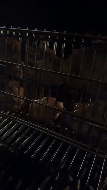 Сетка на вертел для ленивых) Эксклюзивно, только для н? смотреть онлайн