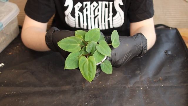 ОЧЕНЬ странные ПЕРЕСАДКИ смотреть онлайн