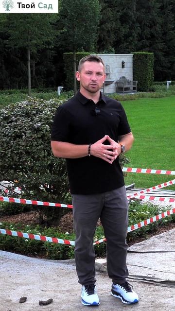 Центральная дорога в нижнем саду #shorts  #ландшафтныйдиз