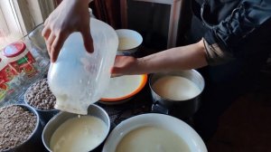 Коровий сыр из молозива в русской печи