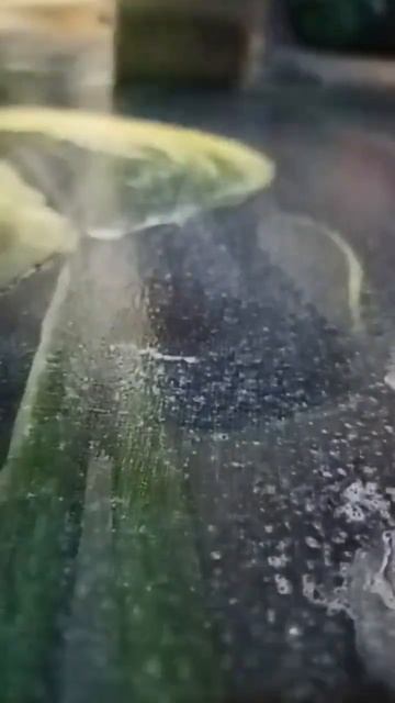 теперь #живопись под защитой 😉🥰 #творчество #художни смотреть онлайн