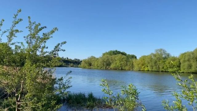 природа смотреть онлайн