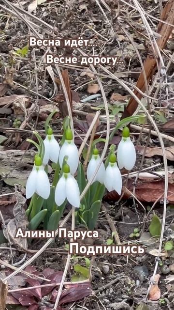 ЗаписАлки #zapisalka #настроение #travelvlog #hungary #budapest2024 #скоро? смотреть онлайн