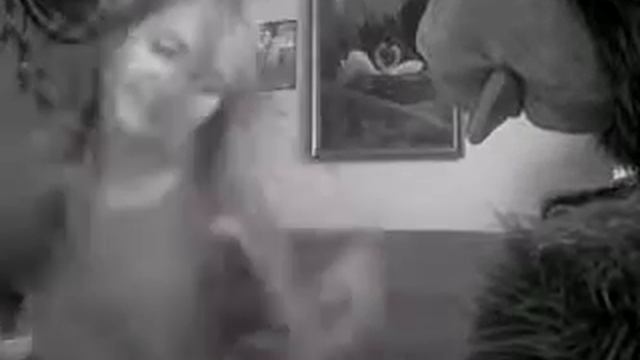 Вам звонит Влад смотреть онлайн