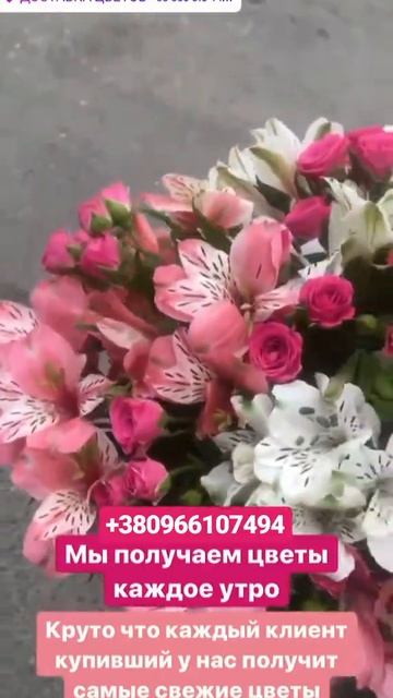 КУПИТЬ НЕДОРОГОЙ БУКЕТ ДНЕПР СРАВНИТЬ ЦЕНЫ(4) смотреть онлайн