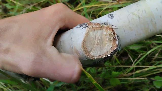 Будущее уже второе косовище из кривой ветки берёзы смотреть онлайн