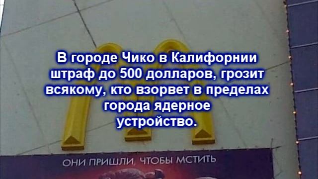 Самые смешные законы разных стран смотреть онлайн