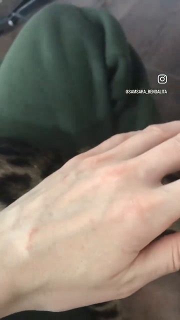 Моя голубоглазка 😻 смотреть онлайн