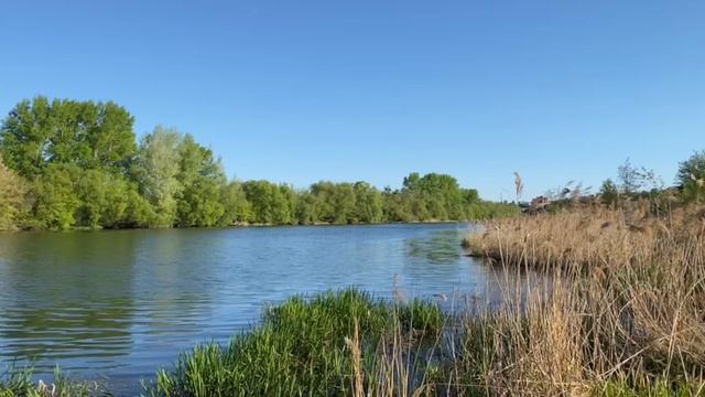 природа смотреть онлайн