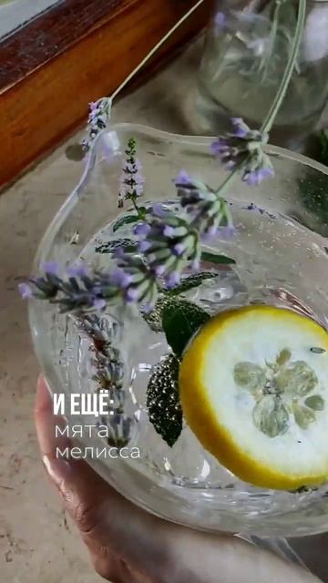 ☘️ 5 способов использовать лаванду на кухне, о которы? смотреть онлайн