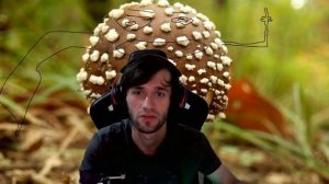 как есть пантерный мухомор? опыт два года, отзыв, ВОЗДЕ