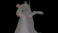 Rat Dance