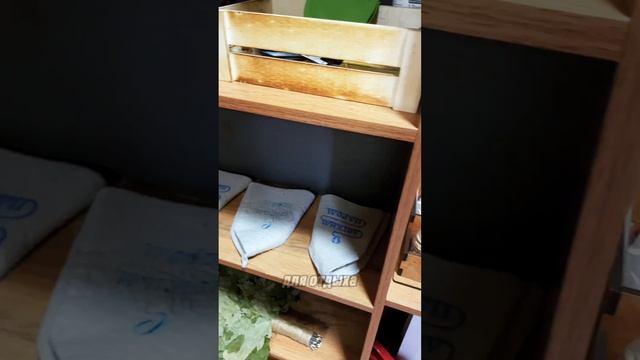 Халяль Баня в Алматы #рек#обзор#еда#кафе#честный#алмат? смотреть онлайн