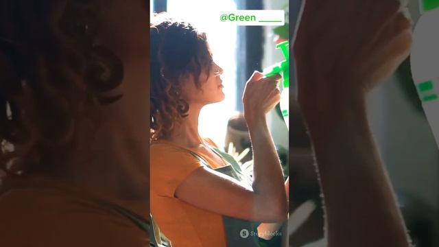 Аспирин для растений 🌱#garden #homegardens #gardening #plants #flowers #natur смотреть онлайн