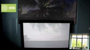 Сравнение экрана Cactus ALR  и экрана  стандартного полотн?