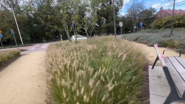 Вот как может быть в небольшом городе Jarocin. Показал как смотреть онлайн