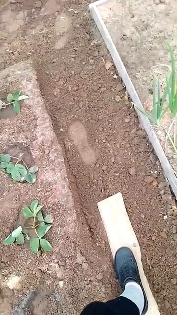 На новый урожай. смотреть онлайн