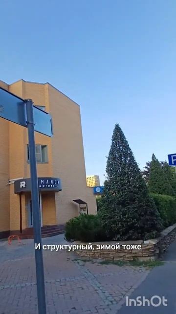 Живая изгородь из Боярышника #shortsvideo #архитекторландш? смотреть онлайн