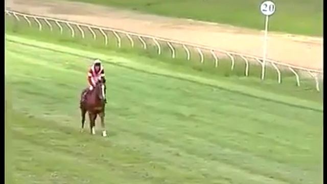 Делегація(UKR) 2009 Експект - Дамінга, Дніпропетровський кінний завод смотреть онлайн