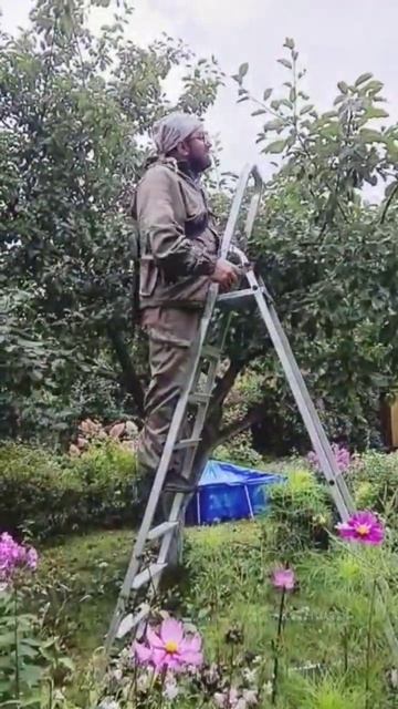 моя работа в саду взгляд со стороны заказчика часть 10 ? смотреть онлайн