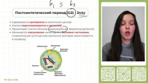 Деление клетки. Митоз | Биология 10 класс | 99 БАЛЛОВ