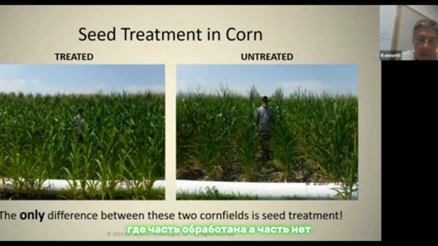 Часть 7.  Результаты от обработки семян.