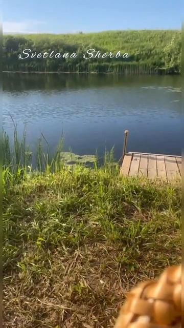 Где используют клевер и чем он полезен- смотрите видео смотреть онлайн