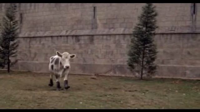 Корова смотреть онлайн