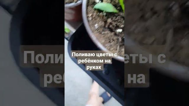 поливаю цветы, ребёнка деть некуда. #рассада #детей #де? смотреть онлайн
