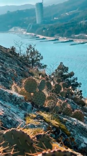 Крым сейчас