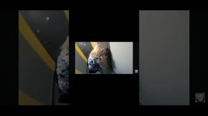 МАТЬ ПОСТАВИЛА СЫНА НА ГРЕЧКУ слава богу ево забрала т