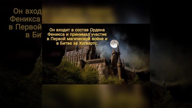 Интересные факты о Римусе Люпине смотреть онлайн