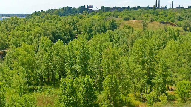 Река Мокрая Мечётка впадает в Волгу в районе посёлка С смотреть онлайн