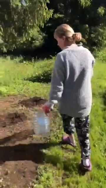 Размножаем можжевельник из ветки. смотреть онлайн