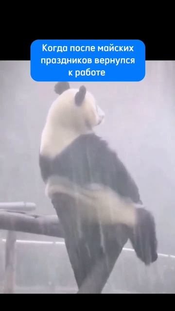 Есть у вас такое ощущение? смотреть онлайн