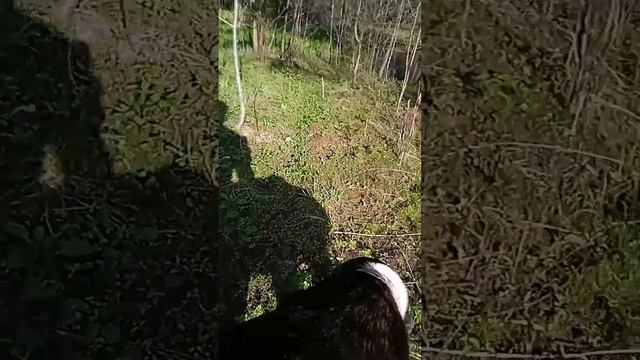 Чудо Остров Где Есть Все Все Все смотреть онлайн