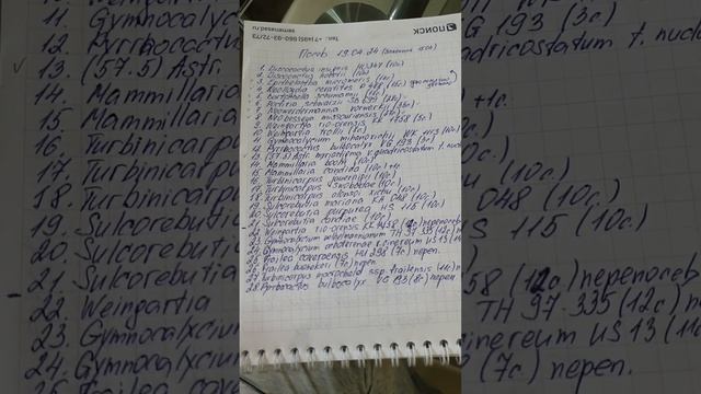 Посев кактусов. смотреть онлайн