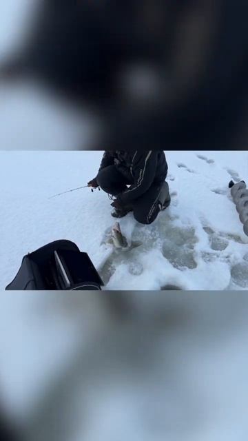 Совсем скоро - новое видео! #брат #fishing #братсудак #брати смотреть онлайн