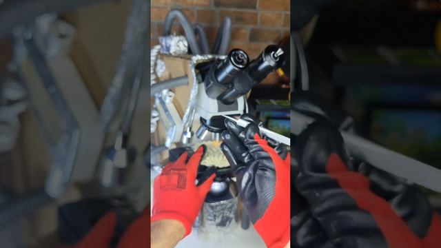 Вы бы все еще ели лапшу, увидев ее в увеличенном виде1000 смотреть онлайн