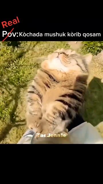 3 мая 2025 г. смотреть онлайн