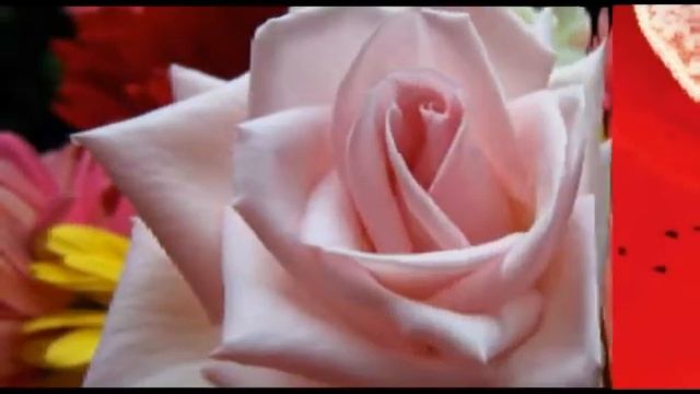 Катюха, с днюхой!.mpg смотреть онлайн