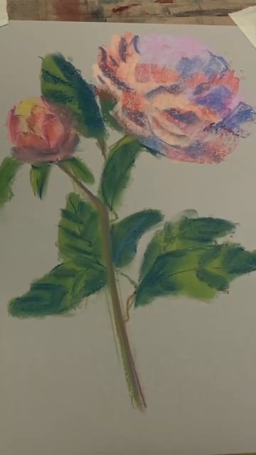 Пион пастелью смотреть онлайн