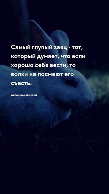 Глупый заяц - цитата Про жизнь - короткие цитаты со смы? смотреть онлайн