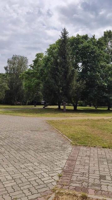 г.Бийск. Памятник Петру I смотреть онлайн