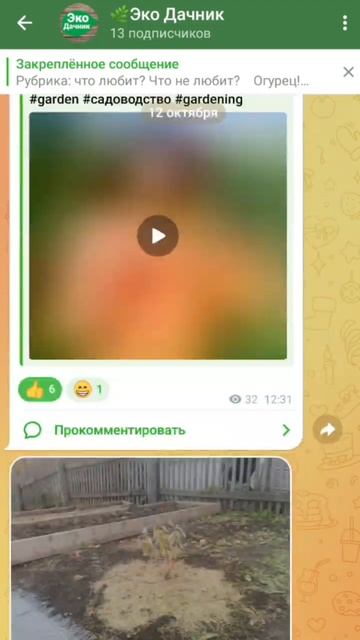 Ссылка на мой телеграм канал в описании канала! Обязат смотреть онлайн